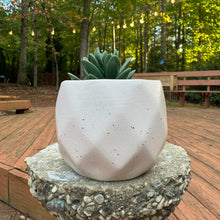 Load image into Gallery viewer, Cute Ceramic Plant & Flower Pots - 6 Colors - Plant Gift