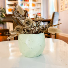 Load image into Gallery viewer, Cute Ceramic Plant & Flower Pots - 6 Colors - Plant Gift