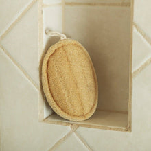 Load image into Gallery viewer, Large Exfoliating Loofah - Set of 3