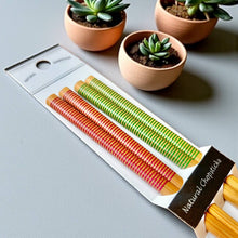 Load image into Gallery viewer, Bamboo Chopsticks Set | Red & Green