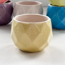 Load image into Gallery viewer, Ceramic Plant & Flower Pots - 6 colors