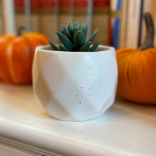 Load image into Gallery viewer, Cute Ceramic Plant & Flower Pots - 6 Colors - Plant Gift
