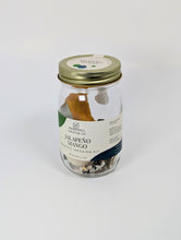 Load image into Gallery viewer, Jalapeño Mango Cocktail Infusion Kit
