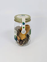 Load image into Gallery viewer, Jalapeño Mango Cocktail Infusion Kit
