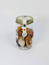 Load image into Gallery viewer, Simply Old Fashioned Cocktail Infusion Kit
