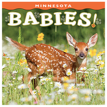 Load image into Gallery viewer, Minnesota Babies!
