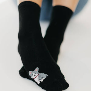Love Your Pet Socks