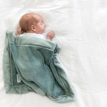 Load image into Gallery viewer, LUSH MINI BLANKETS
