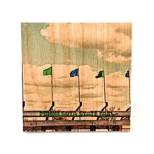 Load image into Gallery viewer, Lucid Wood Coaster - The Argyle Moose
